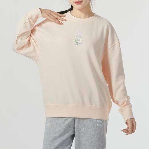 彪马运动卫衣179.90（线上线下同步销售，不一定有货，介意勿拍）574637-GY 商品图0