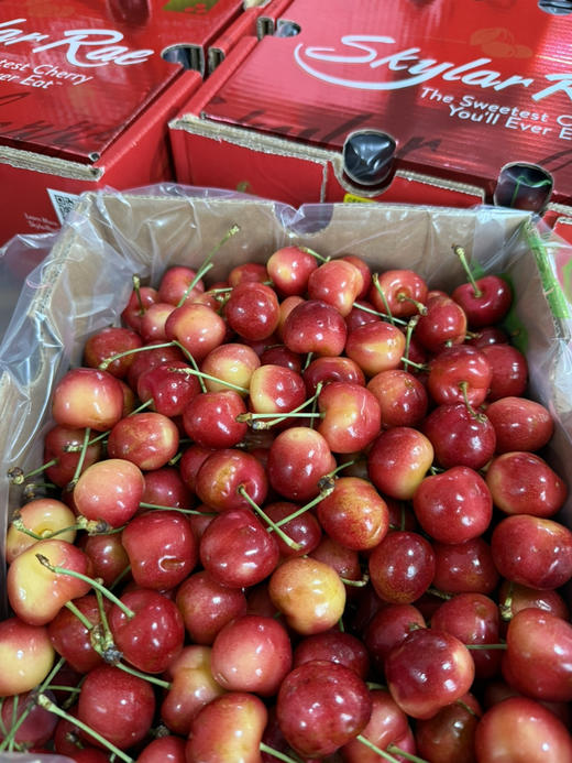 斯凯拉蕾Skylar Rae，空运到货，鲜爽浓郁～ 商品图0