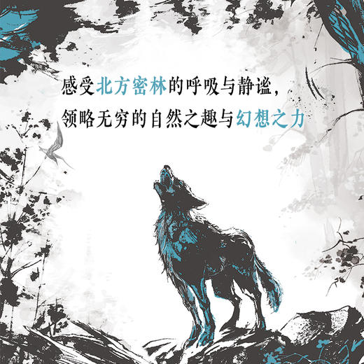 特鲁申·北境森林奇旅系列（3册） 商品图3