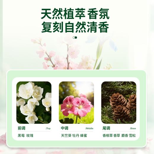 【新品上新✨】『衣领净』衣领救星 多效洁净 瓦解顽固黄渍 商品图4