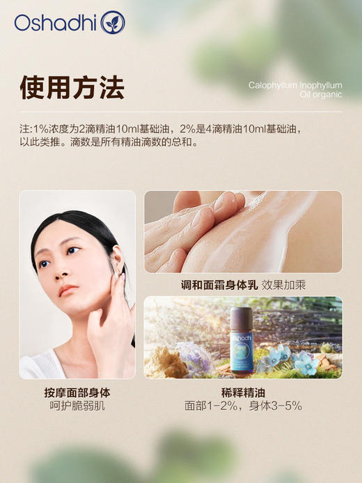 德国O家琼崖海棠油身体按摩油 基础油 呵护肌肤 商品图2