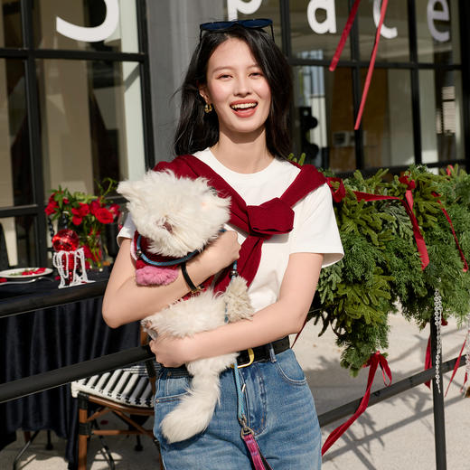 三彩2026春季新款小马刺绣基础磨毛小白T恤休闲正肩短袖上衣S 商品图2