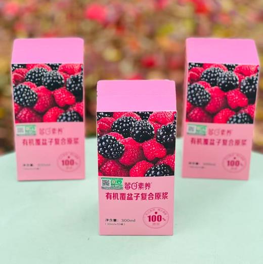 莓日素养有机覆盆子复合原浆!主打有机原料，100%原浆，健康营养满分，富含维生素C成分。独立小盒设计，随身携带超方便，健康生活get! 商品图5