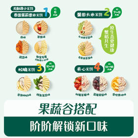 英氏（Engnice）婴幼儿米饼苹果味婴儿零食磨牙饼干宝宝零食48g哄娃解馋6个月以上 /母婴 /营养辅食 /宝宝零食/儿童零食