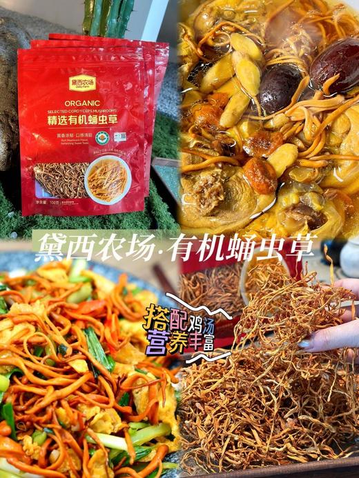 正宗辽宁蛹虫草🍄【黛西农场有机蛹虫草】煲汤一口鲜掉眉毛🔥 药补不如食补！一碗好汤，⁮滋养全家身心 ✅有机更安全!  商品图6