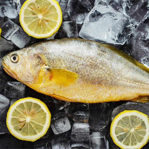 2026澳享新春环球甄选海鲜盛宴 668型 3850g【实物/卡券】 商品图8