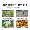 wazzy有机姜黄粉 天然锡兰肉桂粉 有机豌豆蛋白粉 商品缩略图2