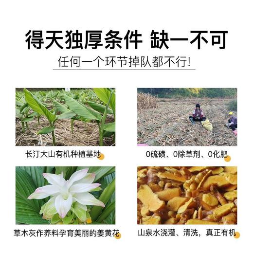 wazzy有机姜黄粉 天然锡兰肉桂粉 有机豌豆蛋白粉 商品图2