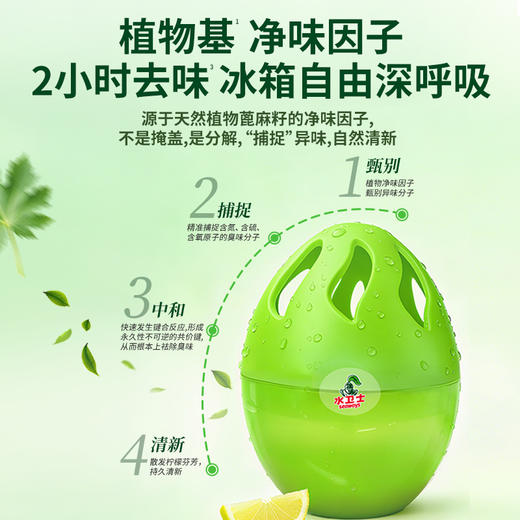 预售20号发货【新品上新✨】『半切柠檬冰箱除味剂』2小时净味除菌 食品级安心 冰箱自由呼吸 商品图3
