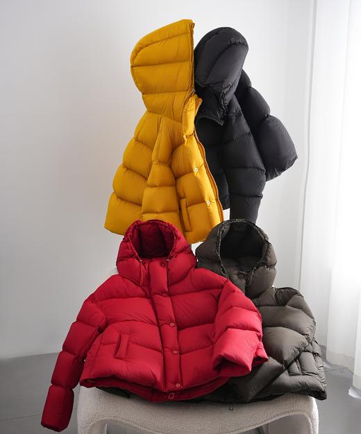 今年冬天人气蕞高舒芙蕾·泡芙羽绒服 商品图14