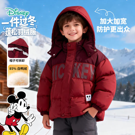 迪士尼超酷顽童冬季男童羽绒外套XD4ES091 商品图3