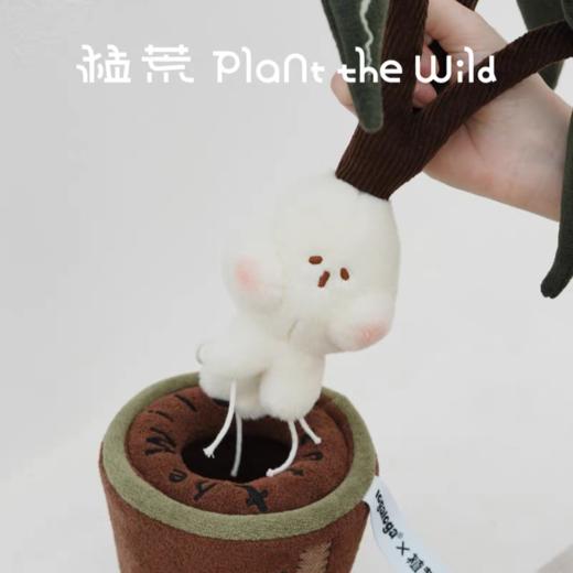 logaloga/B6008/大仙女海芋盆栽摆件 商品图3