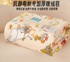 CP抗静电加厚牛奶绒暖绒毯25159 商品缩略图0
