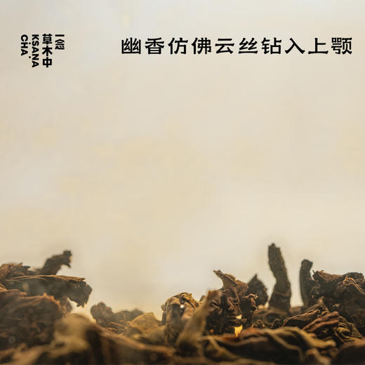 沉香蜜·十五年陈放老六堡 |  进阶原叶系列 | 100g原叶 | 黑茶类 商品图1