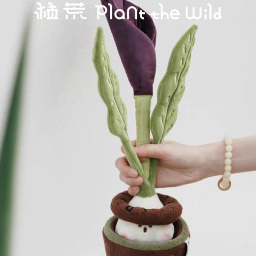 logaloga/B6014/黑骑士马蹄莲毛绒盆栽摆件 商品图2