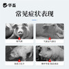 华畜兽药 10%氟苯尼考注射液 咳嗽气喘胸膜炎 猪牛羊鸡呼吸道肺炎 商品缩略图1