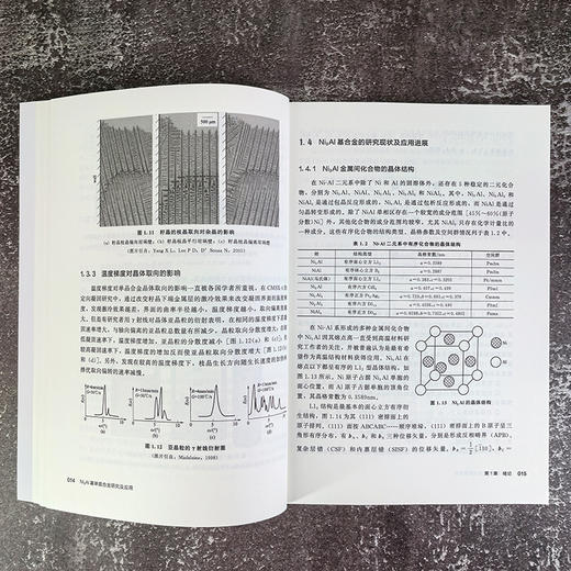 Ni3Al基单晶合金研究及应用 商品图3