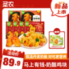 【马年上新】圣农奶酪鸡块250g*4包+嘟嘟翅280g*2包+送【小炸鸡*2份】 商品缩略图0
