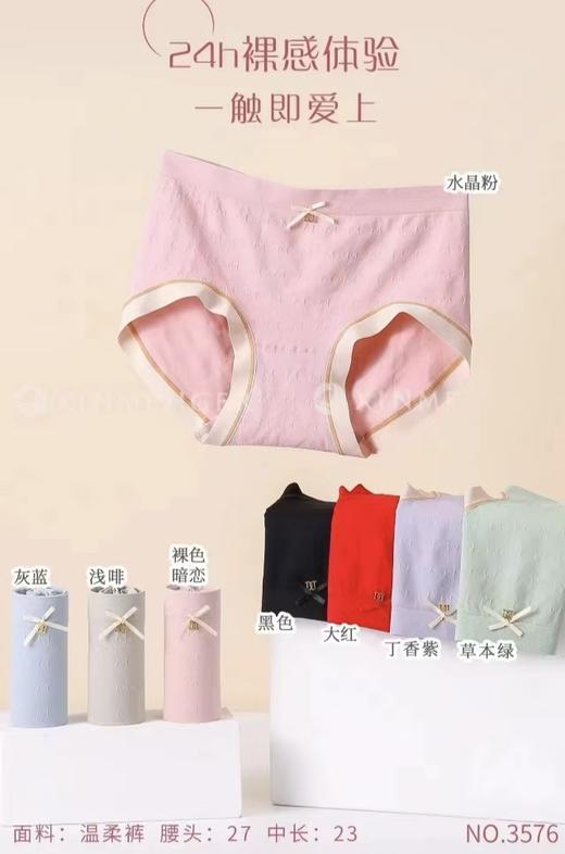 LS竹纤维女士时尚竹丽尔抗菌内裤3576 商品图0