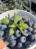 【1斤十堰主城区包邮】新鲜水果 酸甜可口云南蓝莓22+（西班牙42号）  250g/500g 商品缩略图6