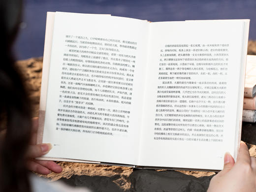 《西西作品集》（精装全4册）|华文世界最有童心的作家，文字真实治愈人心，人生困惑、痛苦、迷茫时，就读一读西西 商品图10