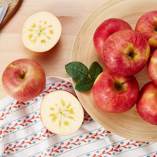 中粮安萃新疆阿克苏红富士苹果2.5kg9粒装（单果直径85-88mm）【分仓直发，72小时发货，周末节假日不发货】 商品图0