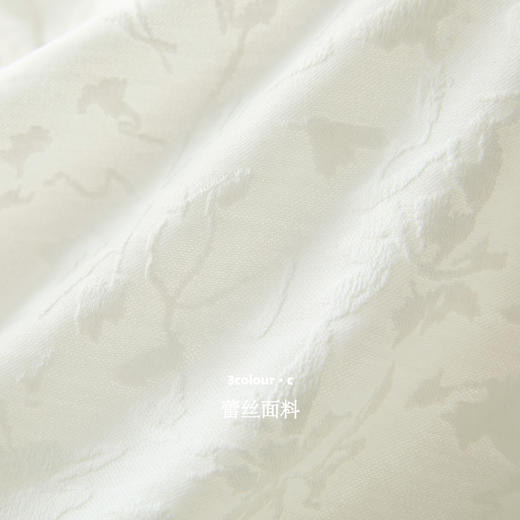 三彩【素影听风】2026春季新款一字领假两件蕾丝连衣裙A字裙C 商品图3