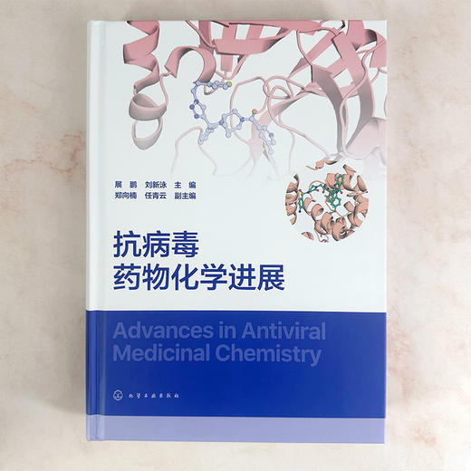抗病毒药物化学进展 商品图2