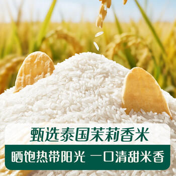 英氏（Engnice）婴幼儿米饼苹果味婴儿零食磨牙饼干宝宝零食48g哄娃解馋6个月以上 /母婴 /营养辅食 /宝宝零食/儿童零食 商品图1