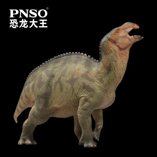PNSO兰州龙兰奇恐龙大王成长陪伴模型97 商品图4