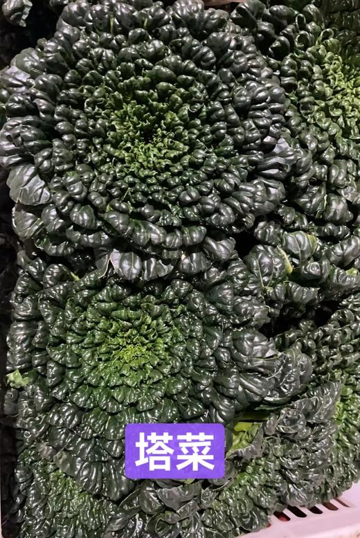 塔菜3.8元1斤，明天到 商品图1