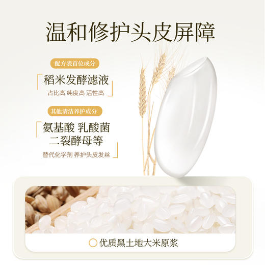 浅香米酿头皮护理洗发乳（控油型）-丰盈750g 商品图4