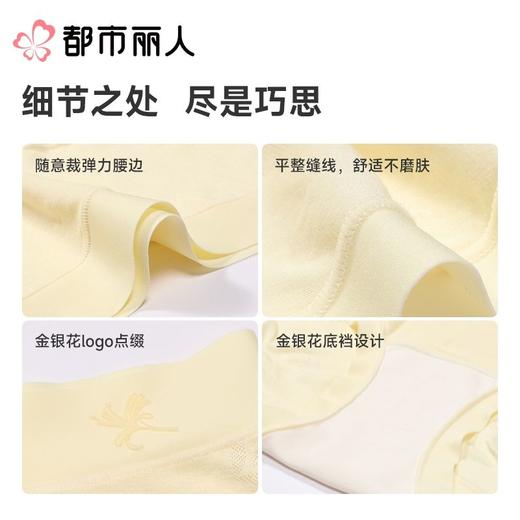 都市丽人内裤红品女士内裤RC棉内裤棉质内裤舒肤棉LKC5H401 商品图4