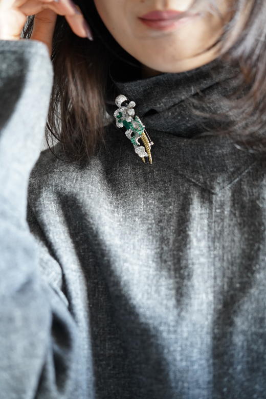 高定胸花绿宝石鹦鹉 商品图3