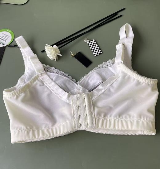 （39/2件）大胸薄杯钢圈调整内衣2118526 商品图2