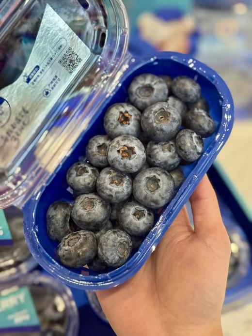 【觅趣小铺·云南枝冠蓝莓】新鲜脆甜礼盒装 商品图2