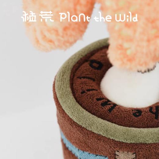 logaloga/B6011/涂鸦花烛盆栽摆件 商品图1