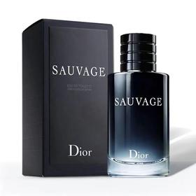 【保税仓】迪奥（Dior）旷野男士香水淡香100ML