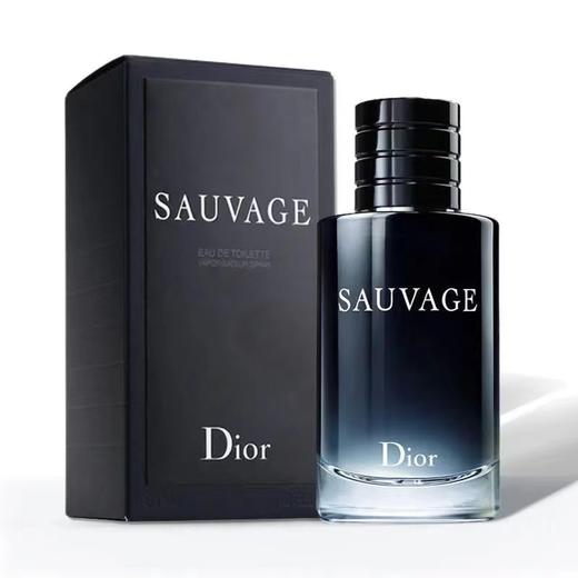 【保税仓】迪奥（Dior）旷野男士香水淡香100ML 商品图0