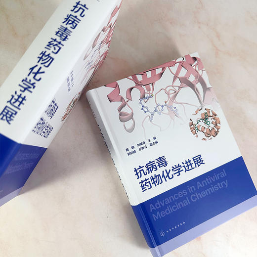 抗病毒药物化学进展 商品图6