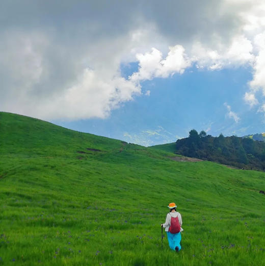 云南｜老药山+虎跳峡高路精华徒步2天1晚，云南“阿勒泰”老药山，高山草甸牧场林海，哈巴玉龙双雪山观景，世界十大最美经典徒步路线之虎跳峡高路，领略山河壮美！五一端午路线提前预定！ 商品图12