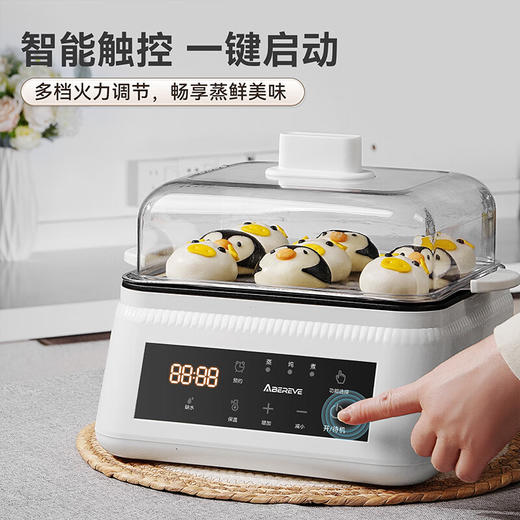 艾贝丽电蒸锅ABL-ZG43 商品图4
