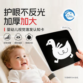 KIDSROYAL  婴幼儿视觉激发卡 HN01 黑白/黑红
