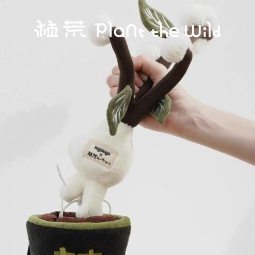 logaloga/B6013/毛核木盆栽摆件 商品图2