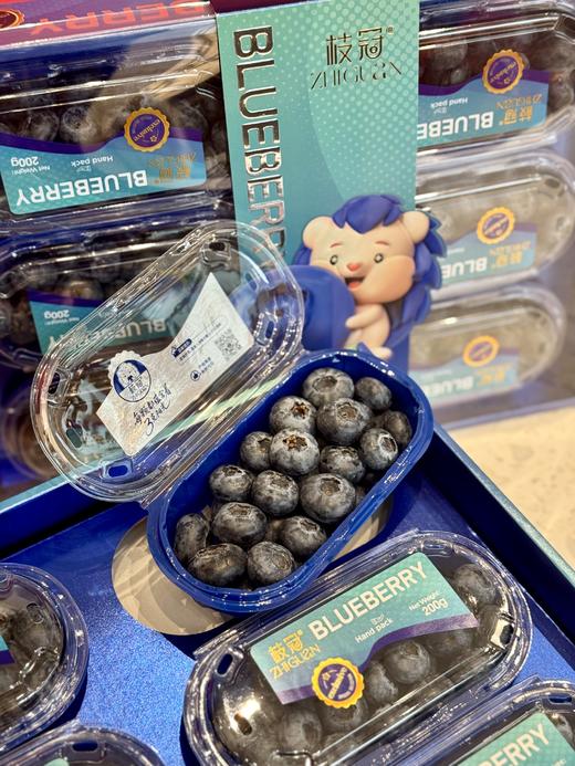 【觅趣小铺·云南枝冠蓝莓】新鲜脆甜礼盒装 商品图0