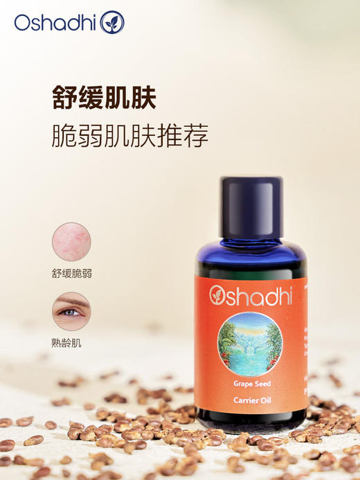 德国O家琼崖海棠油身体按摩油 基础油 呵护肌肤 商品图1