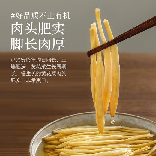 有机黄花菜干货干黄花菜新货凉拌炒菜煲汤火锅家用商用食材 商品图3