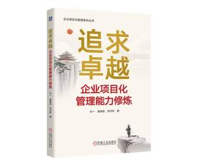 追求卓越：企业项目化管理能力修炼
