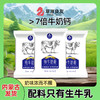 纯牛奶粉 经典老奶粉 7倍牛奶钙 配料表只有生牛乳 奶味浓 多重过滤杀菌 孕妇小孩放心喝 商品缩略图0