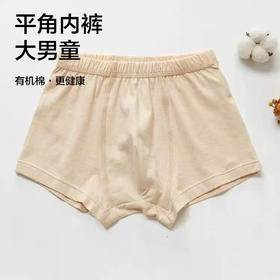 【大男童内裤】95%棉，素道有机彩棉-A类大男童透气平角裤（基地直发-申通包邮），来自敦煌，品牌：素道【合作生产，公平贸易】